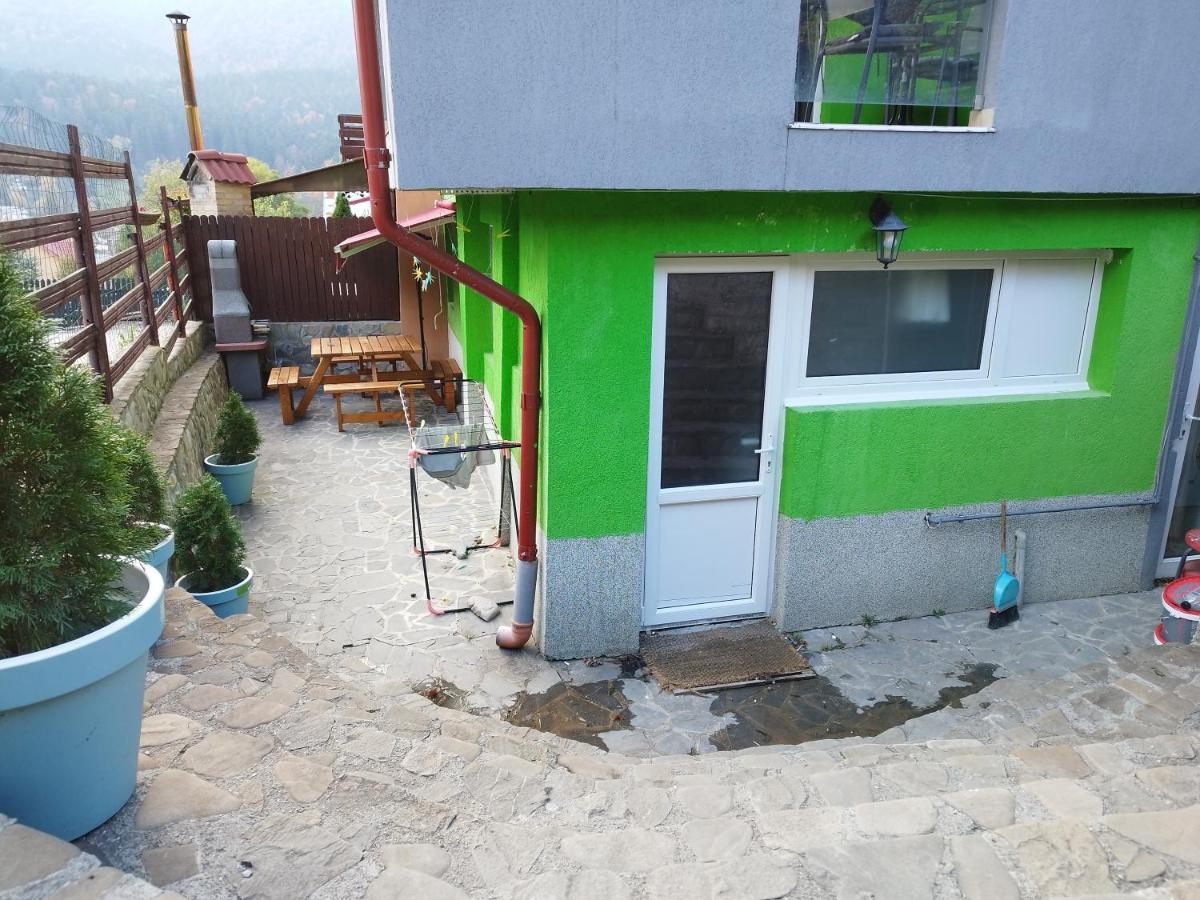 Vila Cri Cri Buşteni Exteriér fotografie