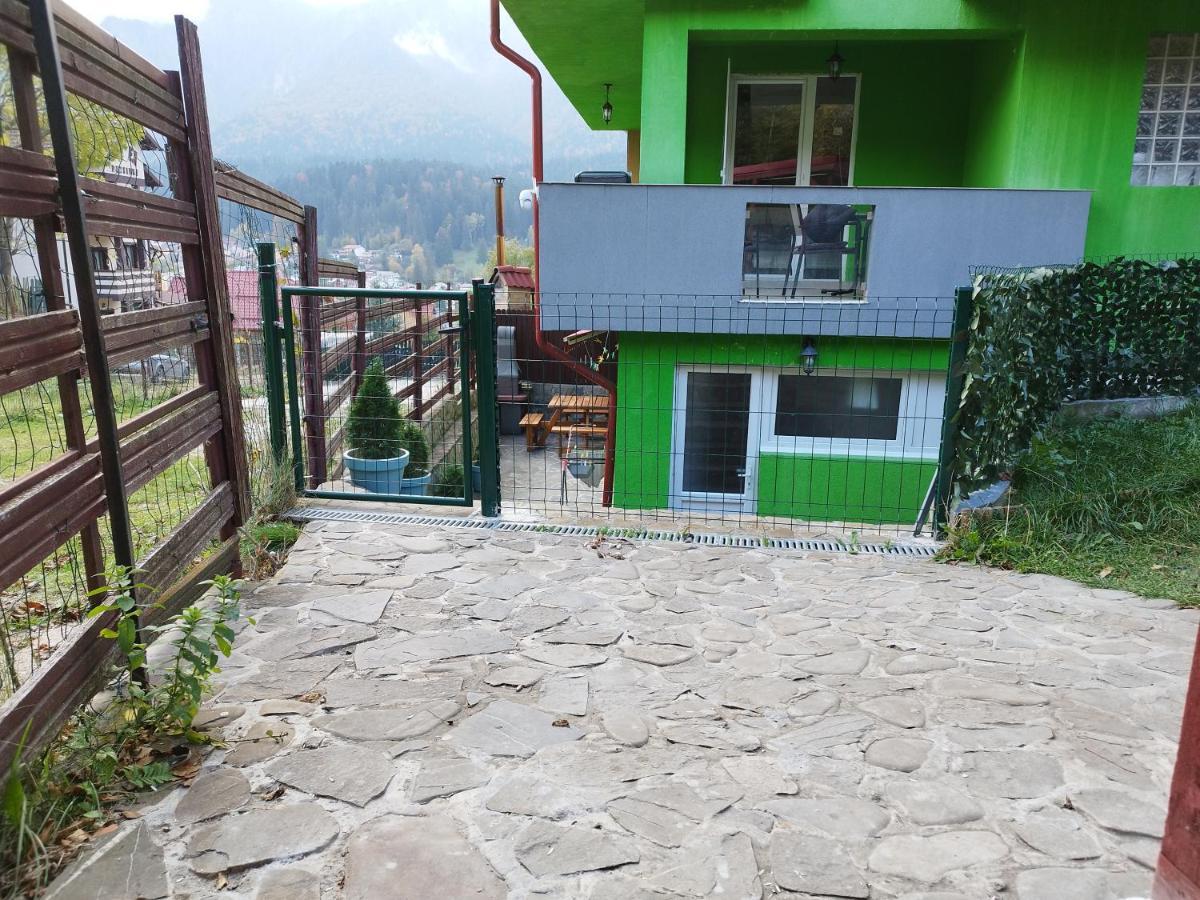 Vila Cri Cri Buşteni Exteriér fotografie