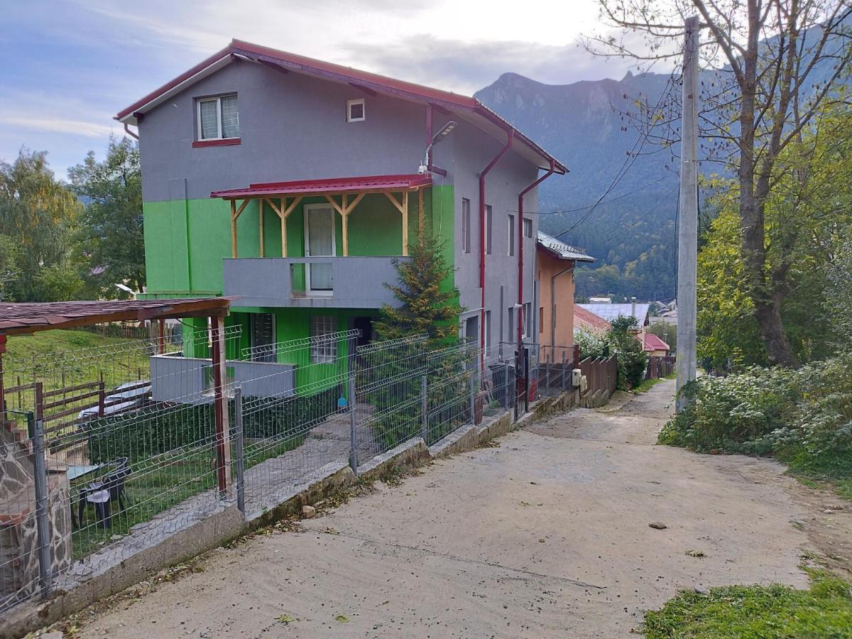 Vila Cri Cri Buşteni Exteriér fotografie