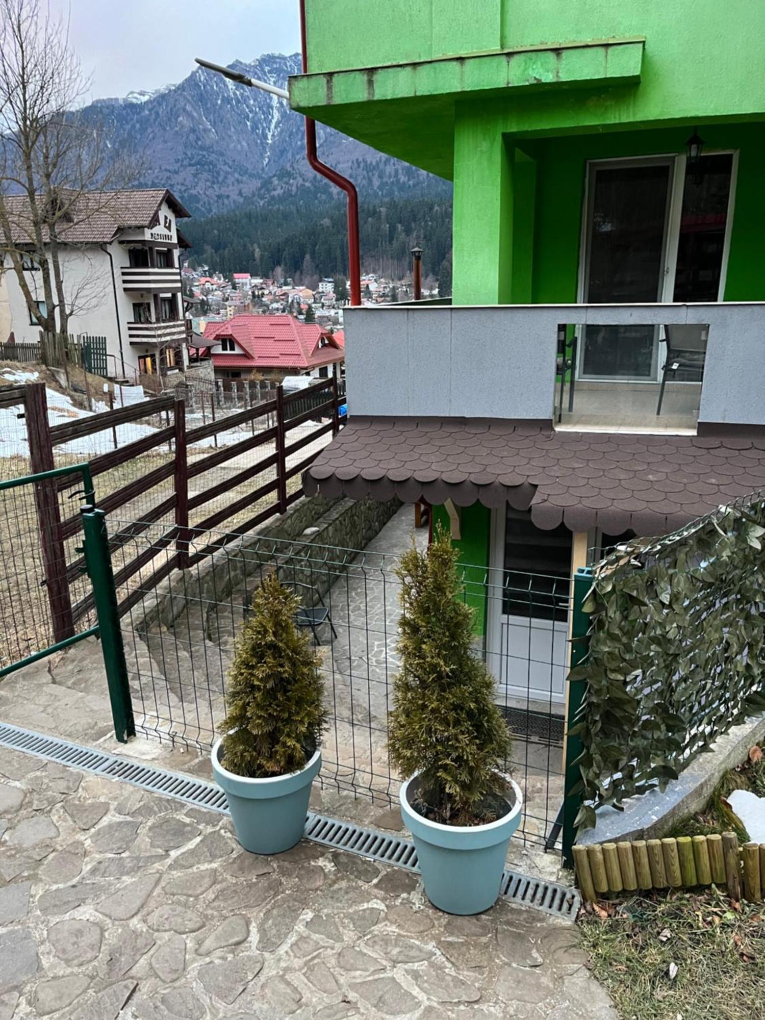 Vila Cri Cri Buşteni Exteriér fotografie