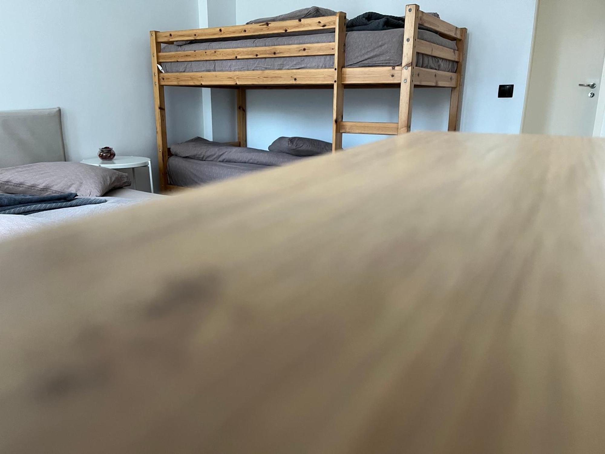 Vila Cri Cri Buşteni Exteriér fotografie